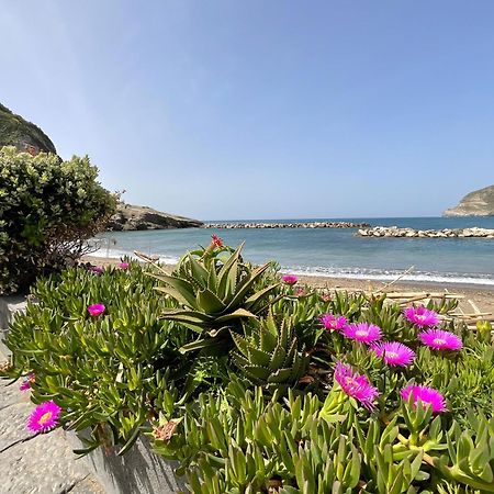 Sant'Angelo  Casa Francesco Seaside 아파트 외부 사진