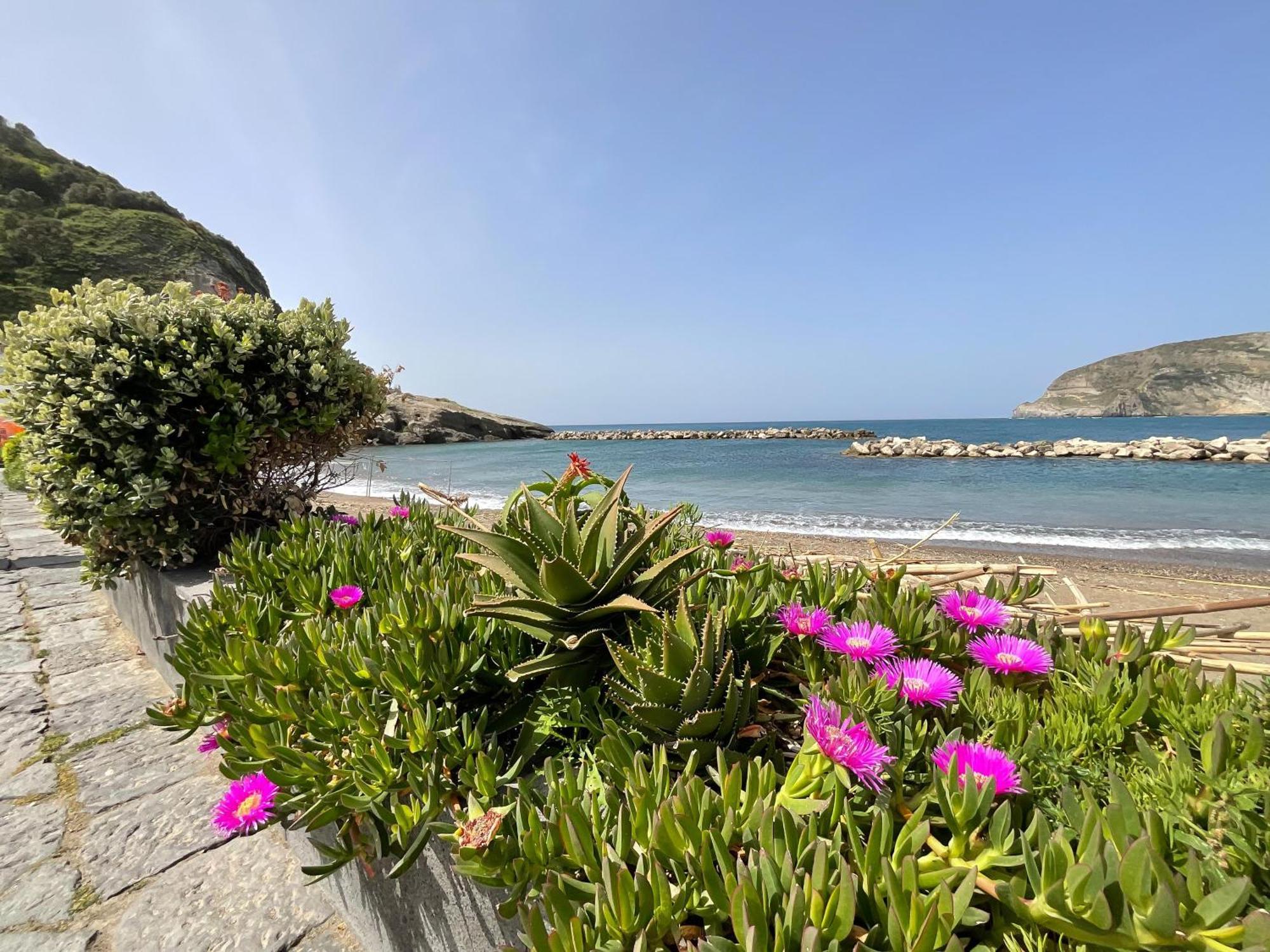 Sant'Angelo  Casa Francesco Seaside 아파트 외부 사진